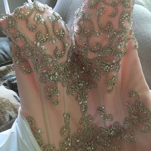 Blush gown-Fiore Couture - Picture 3 of 7